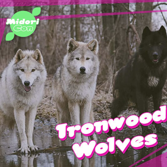 MidoriCon-2019-Ironwood-Wolves-Announcement